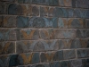 DSC01215
