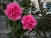DSC01818