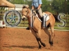 15-dressage-4